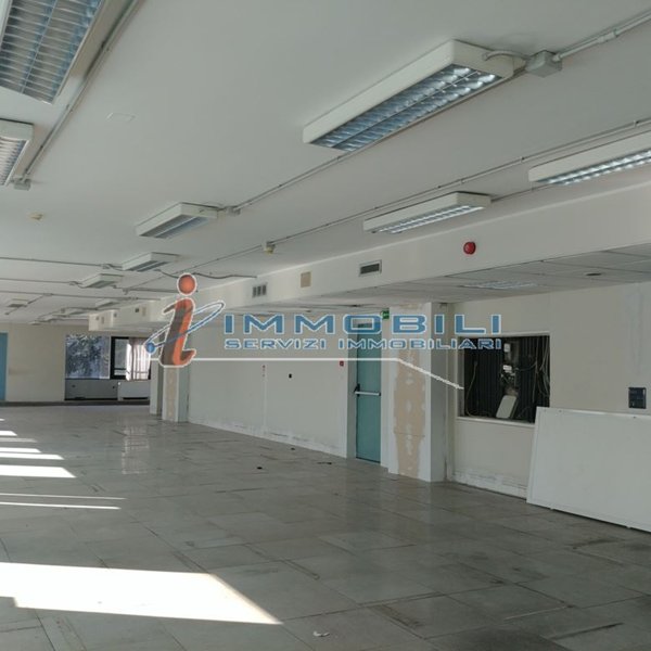 ufficio in affitto a Segrate