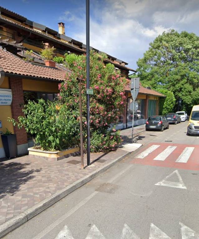negozio in affitto a Segrate in zona Novegro