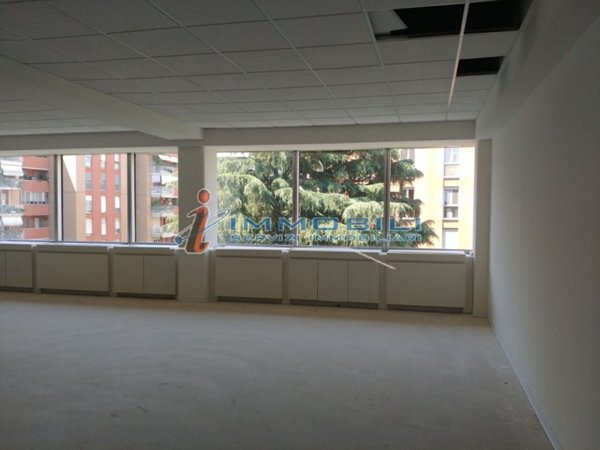 loft in affitto a Segrate