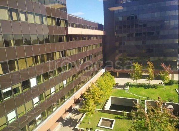 appartamento in affitto a Segrate