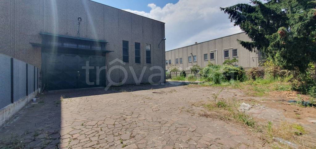 ufficio in affitto a Segrate