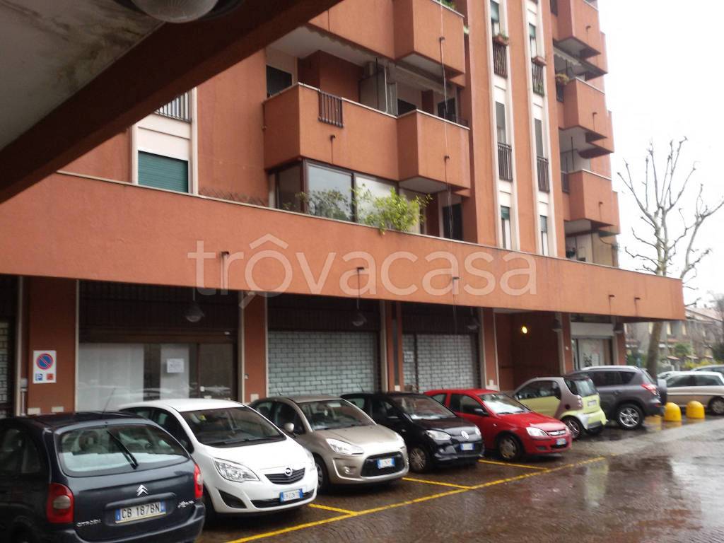 quadrivano in affitto a Segrate