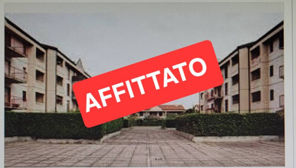 appartamento in affitto a Segrate