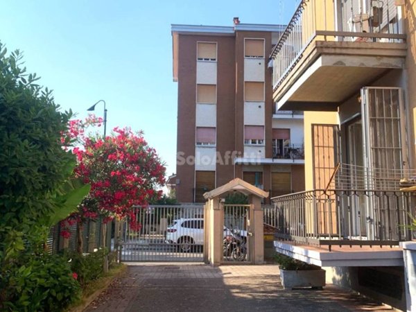 appartamento in affitto a Segrate
