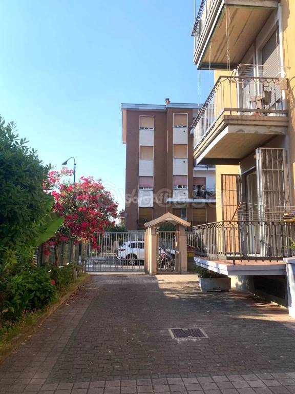 appartamento in affitto a Segrate