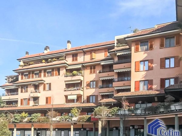 appartamento in affitto a Segrate