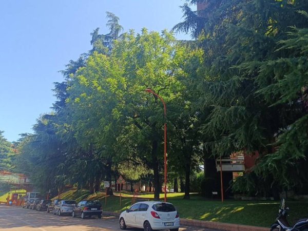 appartamento in affitto a Segrate