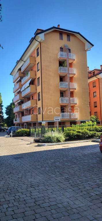 appartamento in affitto a Segrate