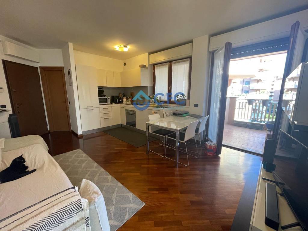 appartamento in affitto a Segrate