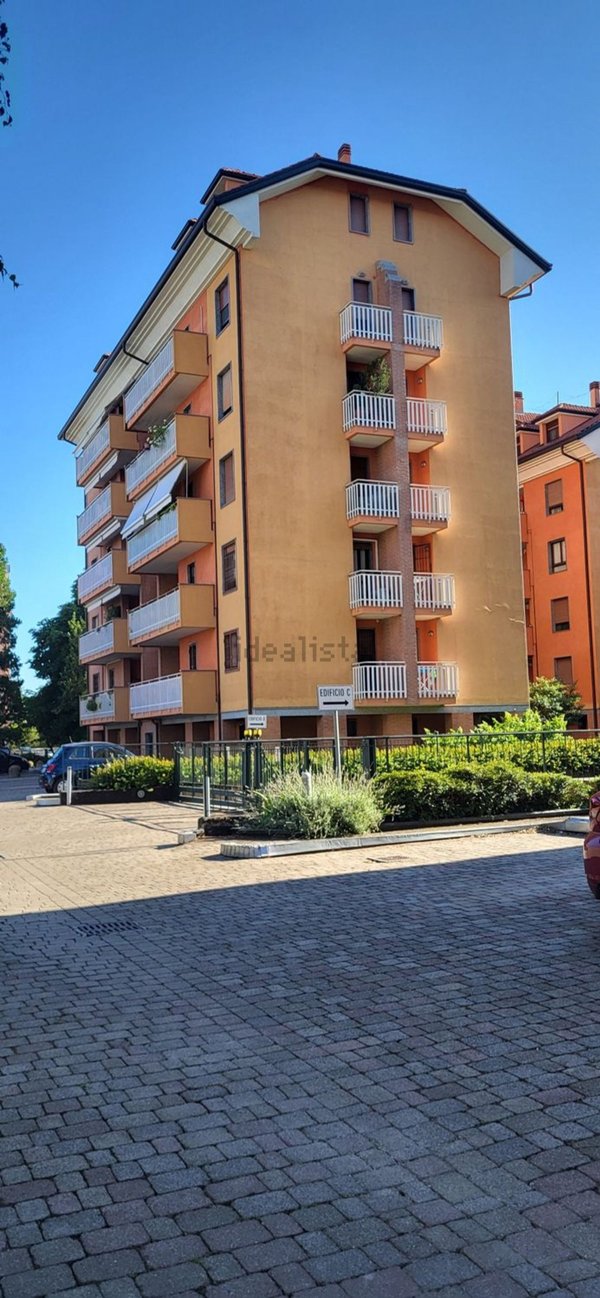 appartamento in affitto a Segrate