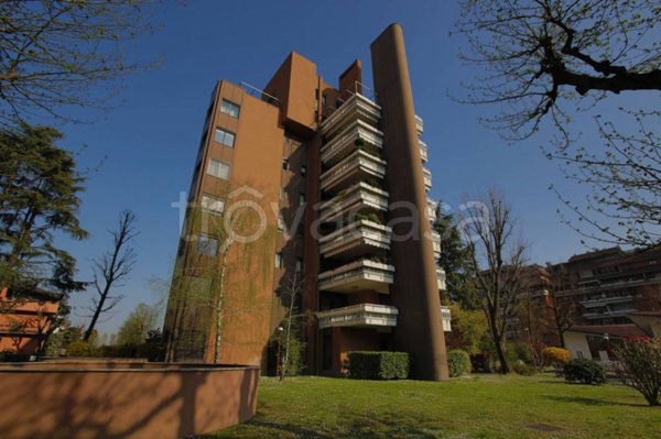appartamento in affitto a Segrate