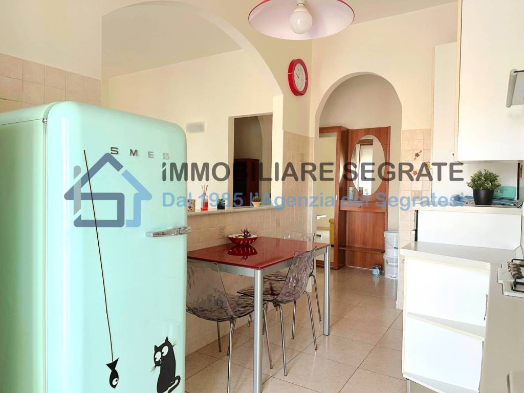 appartamento in affitto a Segrate