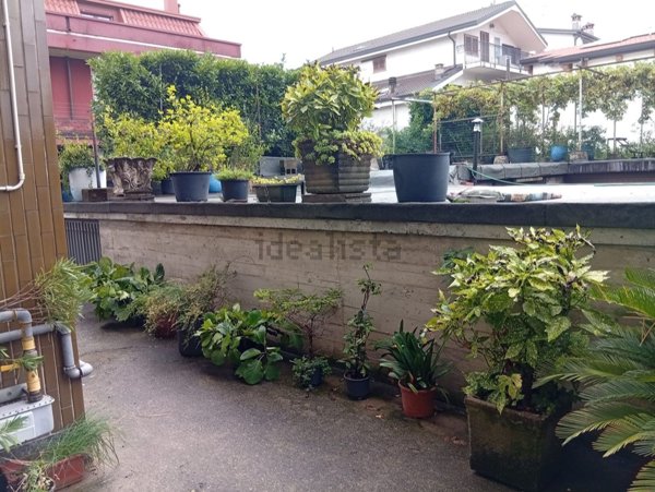 appartamento in affitto a Segrate