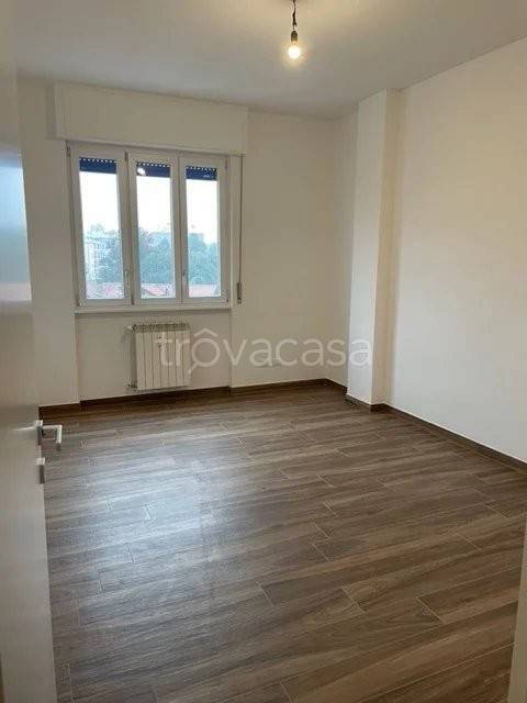 appartamento in affitto a Segrate