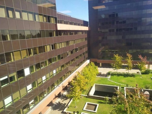 ufficio in affitto a Segrate