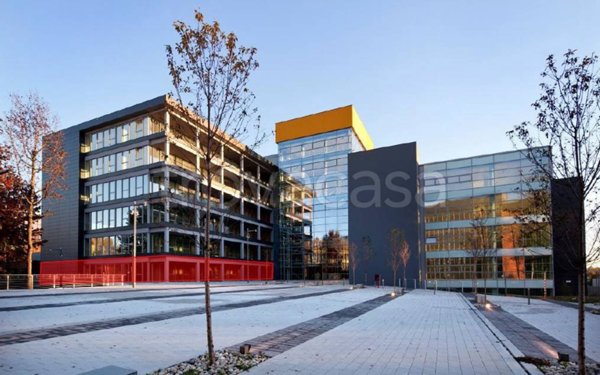 ufficio in affitto a Segrate in zona Milano San Felice