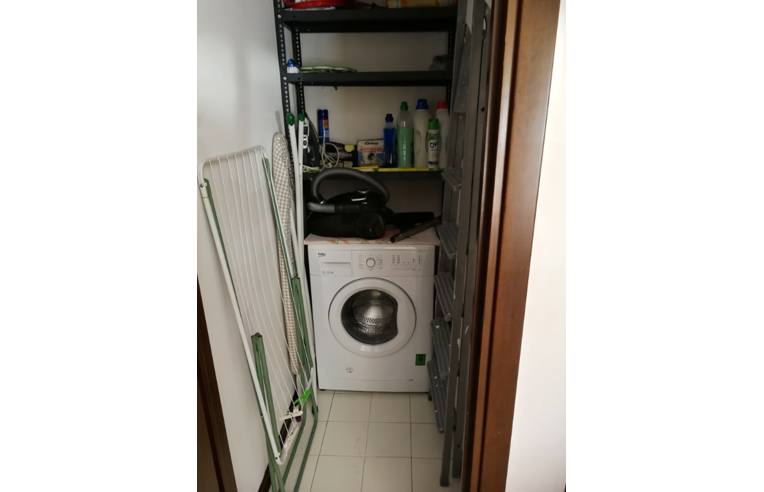 appartamento in affitto a Segrate