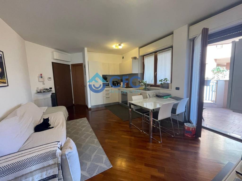 appartamento in affitto a Segrate
