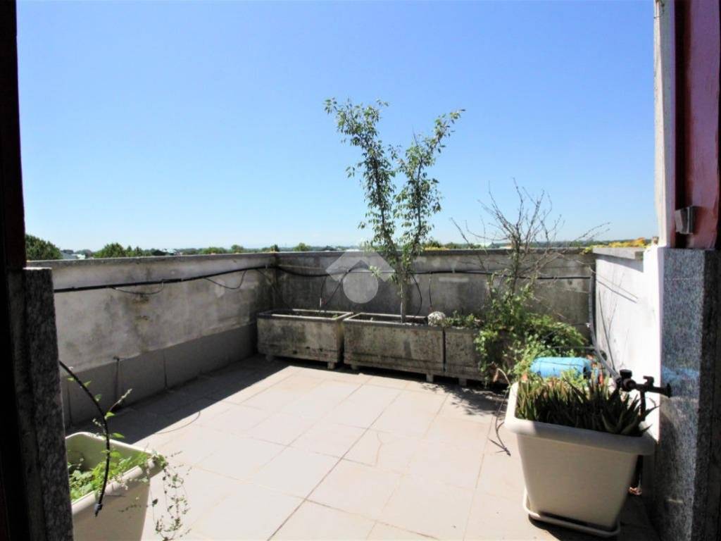 appartamento in affitto a Segrate in zona Novegro