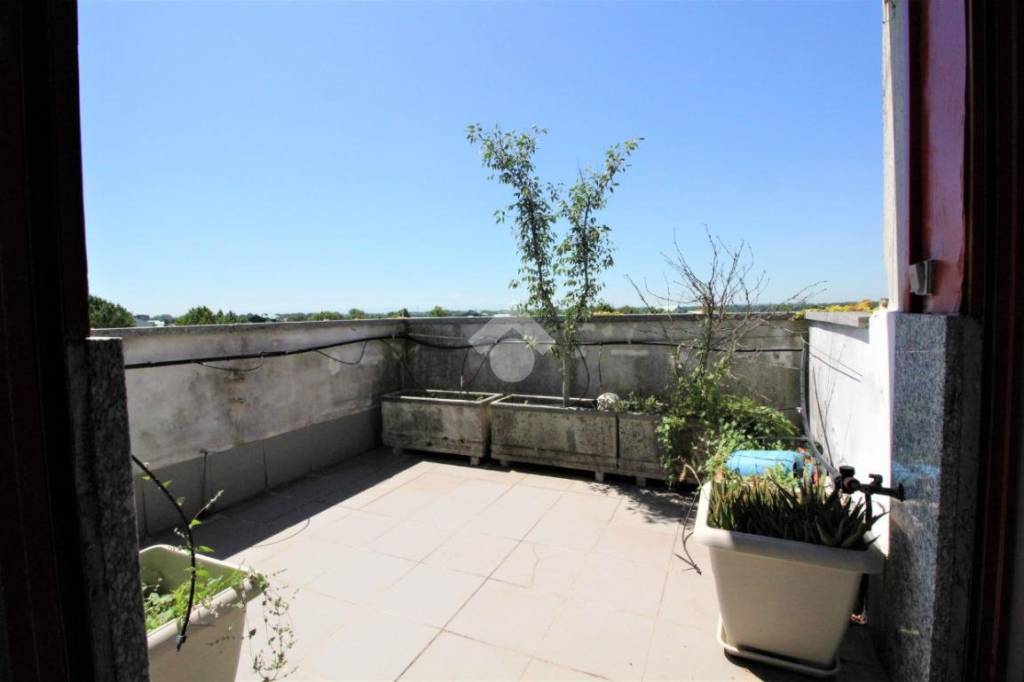 appartamento in affitto a Segrate