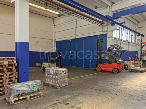 appartamento in affitto a Segrate