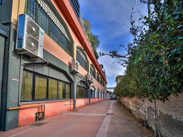 negozio in affitto a Segrate