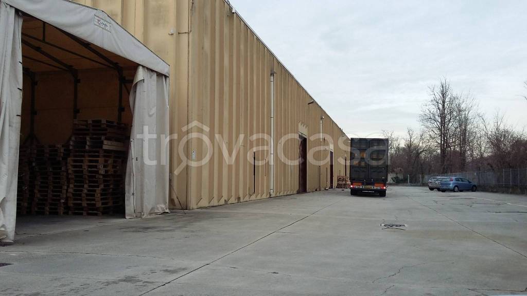 appartamento in affitto a Segrate