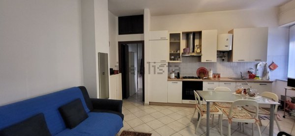 appartamento in affitto a Segrate