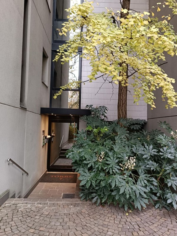 appartamento in affitto a Segrate