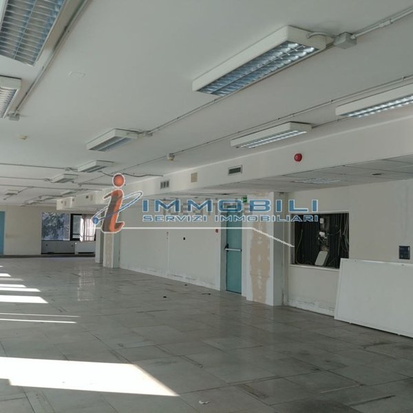 ufficio in affitto a Segrate
