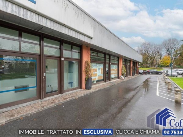 negozio in affitto a Segrate in zona Novegro