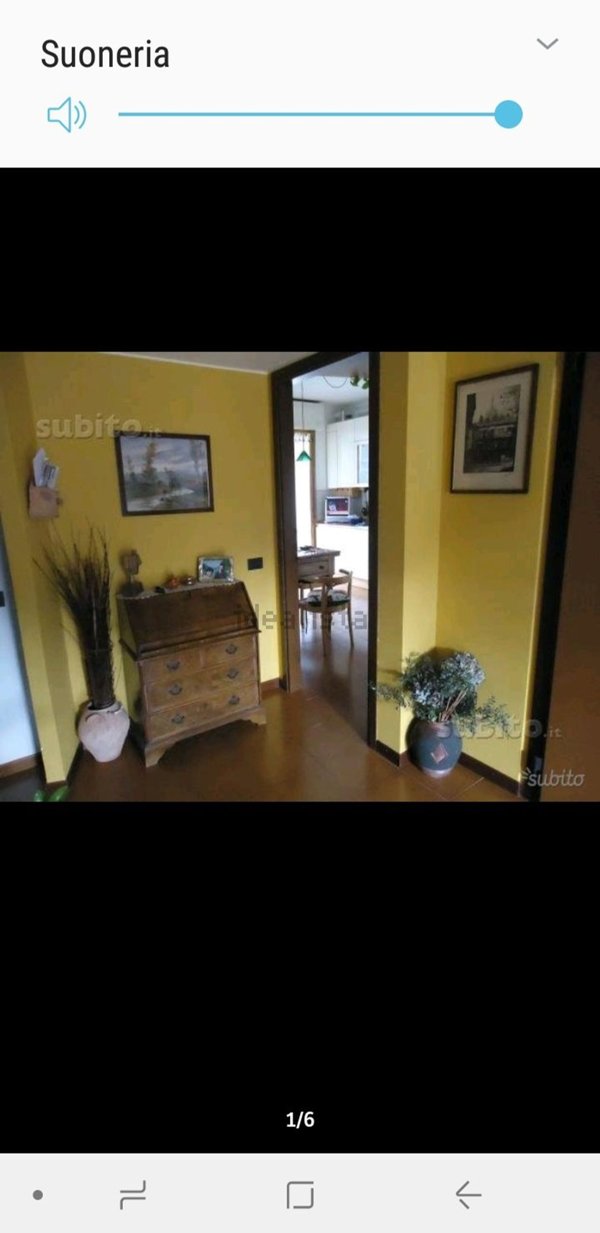 appartamento in affitto a Segrate