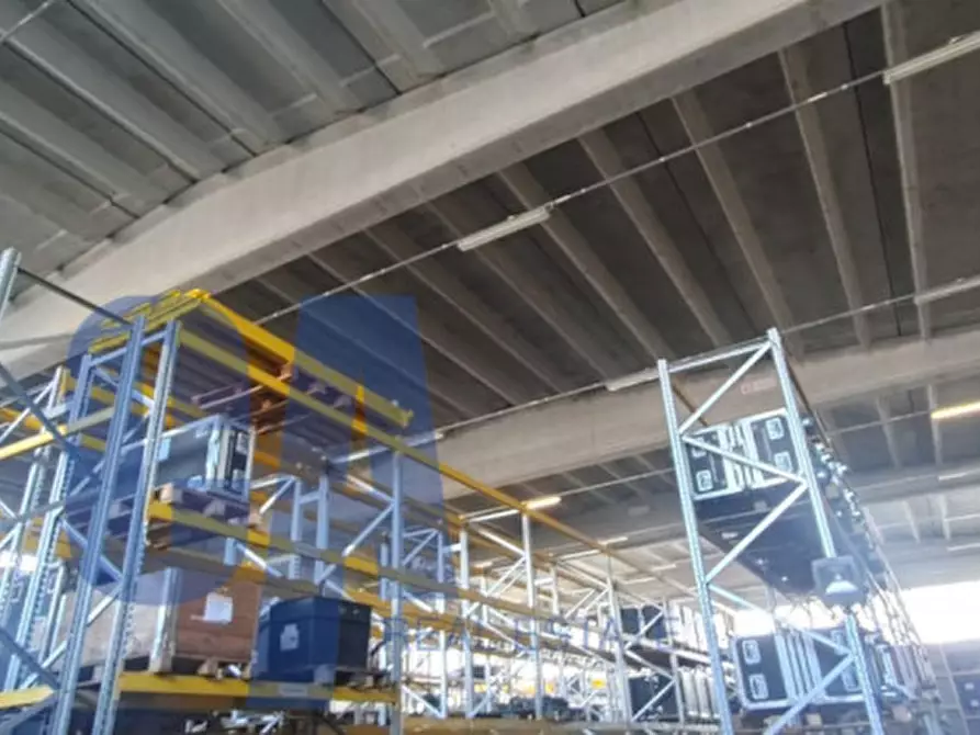 mansarda in affitto a Segrate