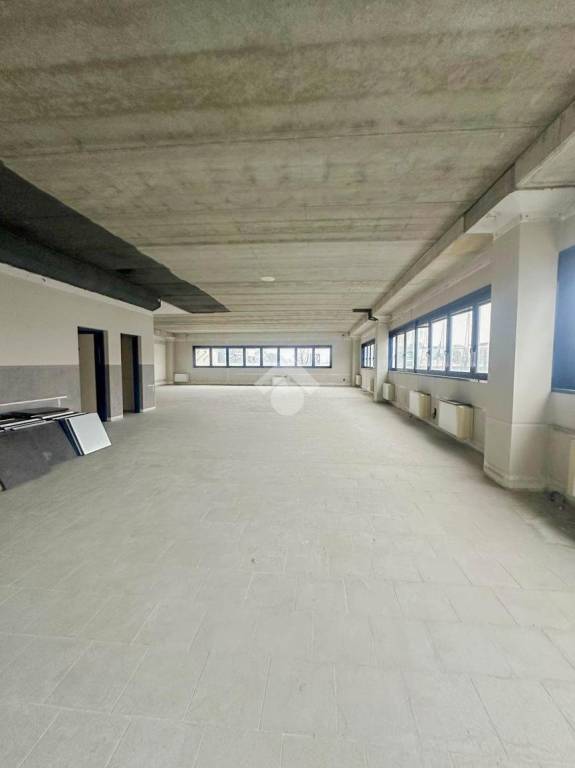 appartamento in affitto a Segrate