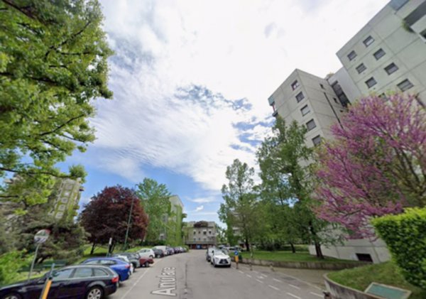 appartamento in affitto a Segrate in zona Milano San Felice