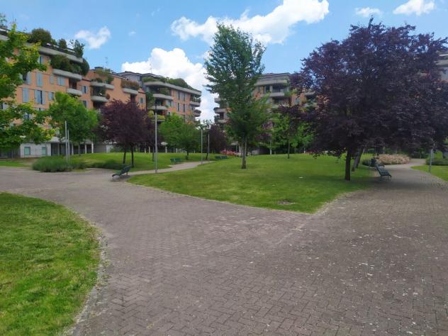 appartamento in affitto a Segrate in zona Milano 2
