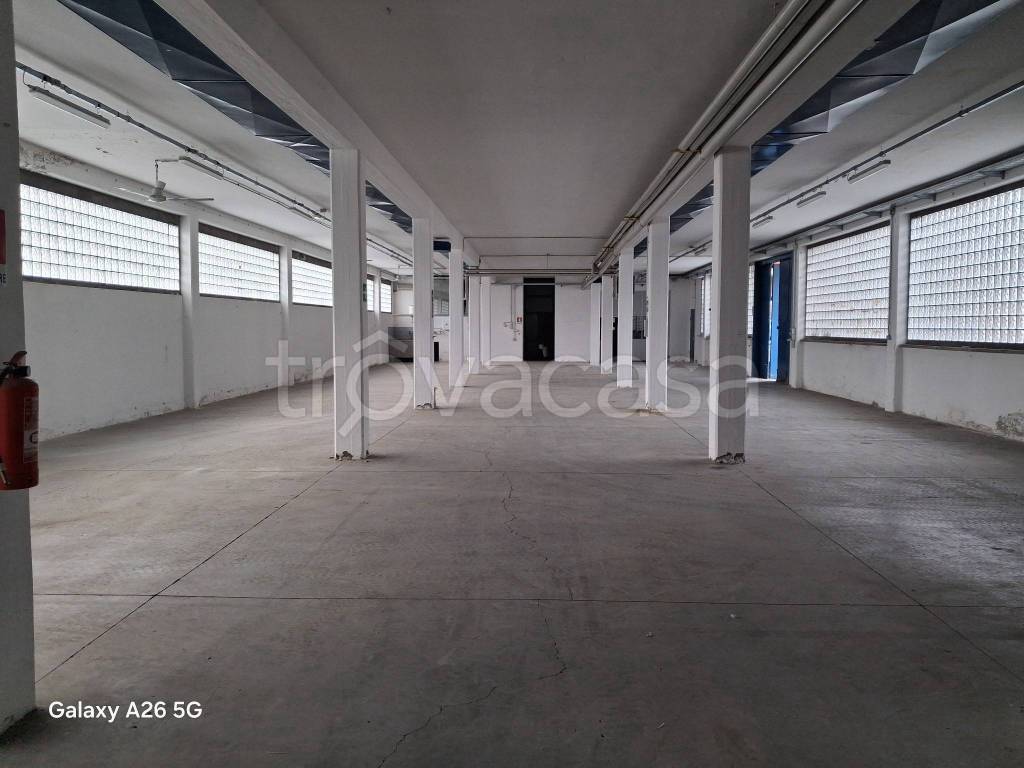 ufficio in affitto a Segrate