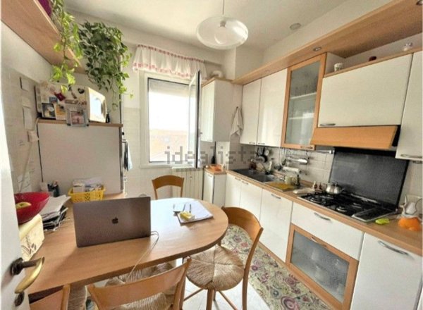 appartamento in affitto a Segrate