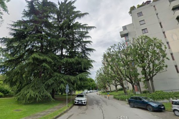 appartamento in affitto a Segrate