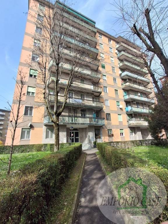 appartamento in affitto a Segrate