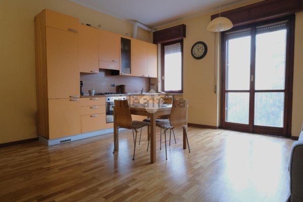 appartamento in affitto a Segrate