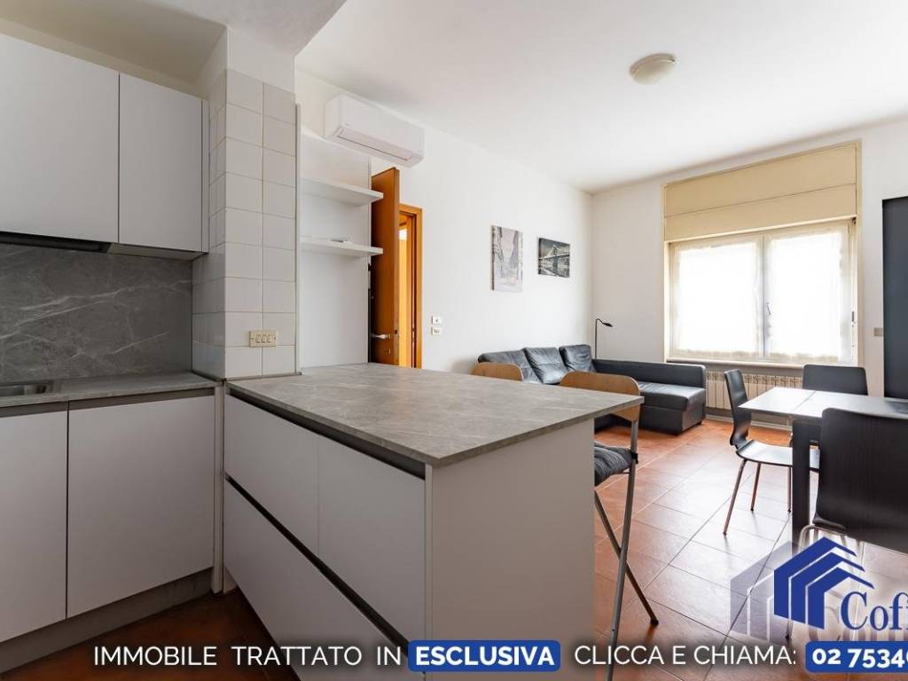 appartamento in affitto a Segrate in zona Novegro