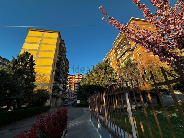 appartamento in affitto a Segrate