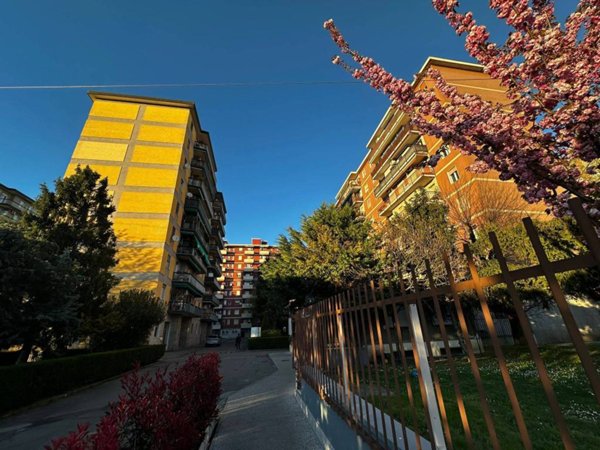 appartamento in affitto a Segrate