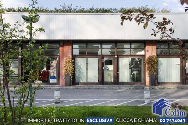 negozio in affitto a Segrate in zona Milano San Felice