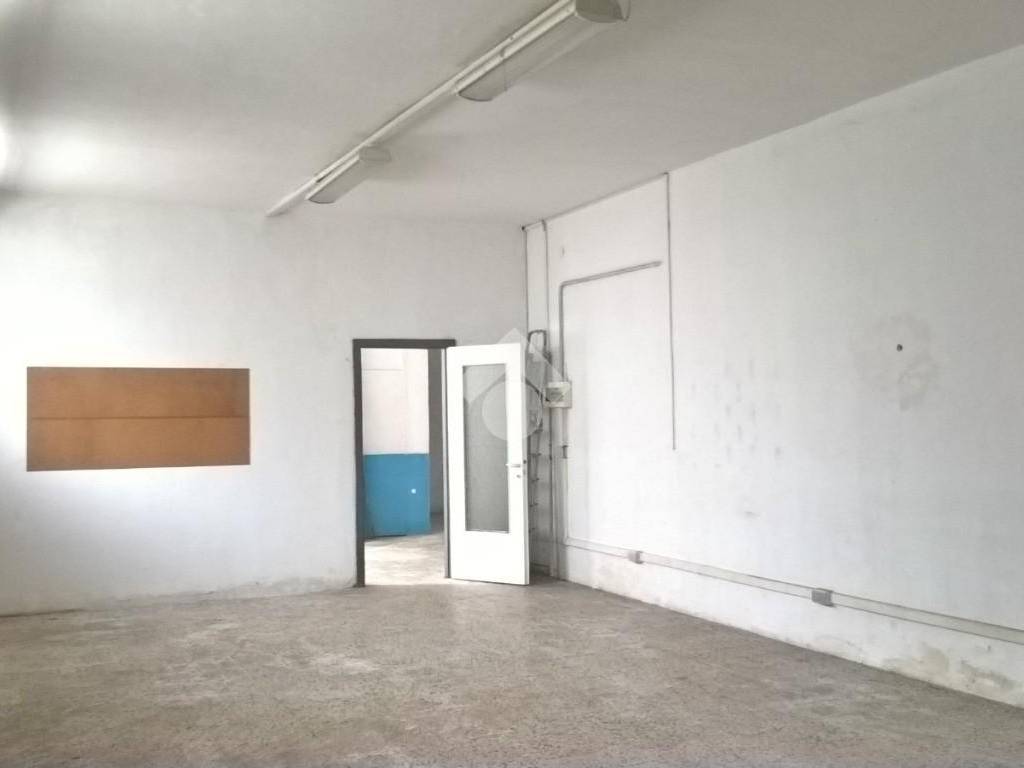 negozio in affitto a Segrate