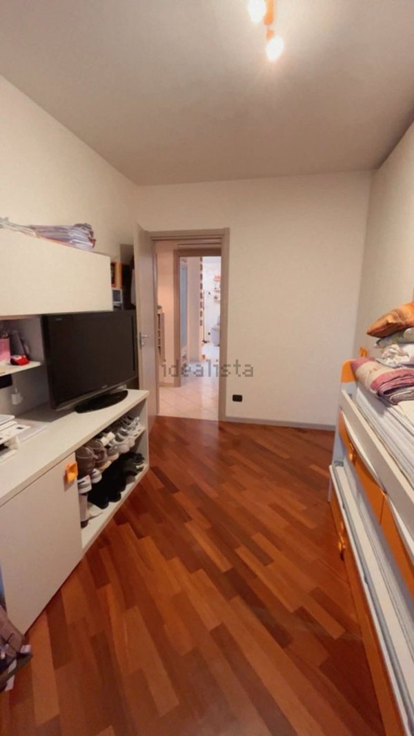 appartamento in affitto a Segrate