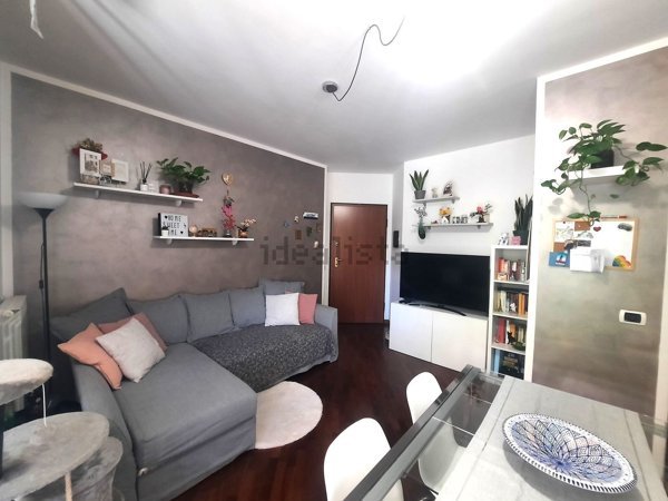 appartamento in affitto a Segrate