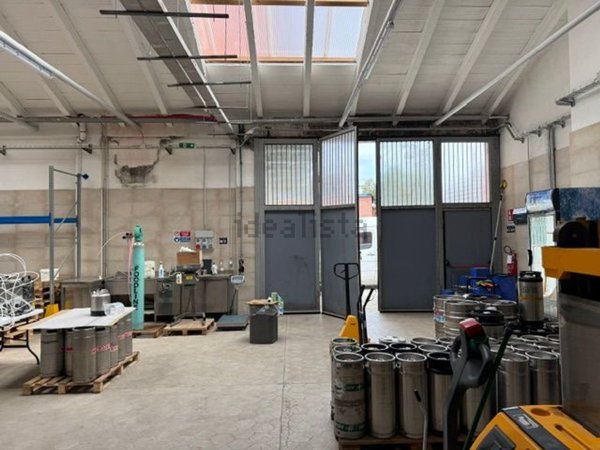 ufficio in affitto a Segrate in zona Novegro