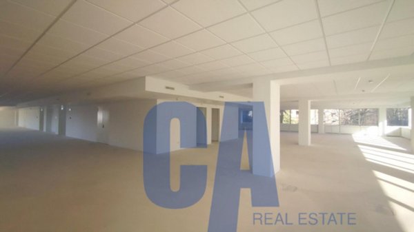 loft in affitto a Segrate
